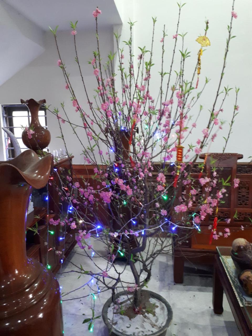 Hotel Thanh Minh Chau Lang Chanh Eksteriør bilde